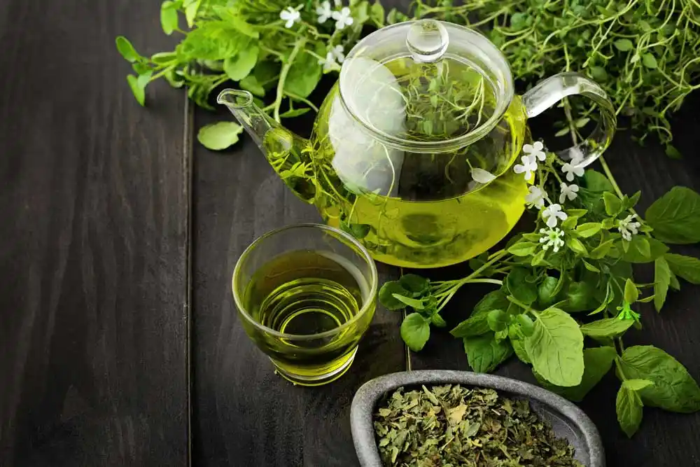 Yeşil Çay ile İlgili Bilmeniz Gereken 7 Nokta